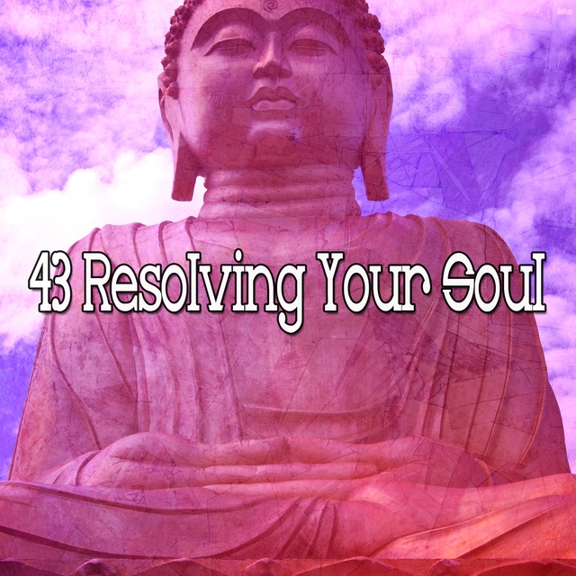 Couverture de 43 Resolving Your Soul