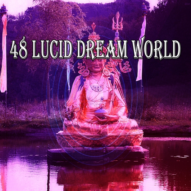 48 Lucid Dream World