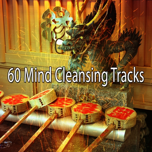 Couverture de 60 Mind Cleansing Tracks