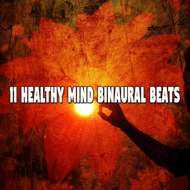 11 Healthy Mind Binaural Beats