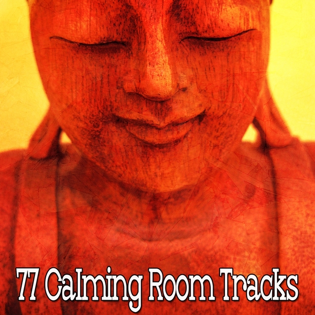 77 Calming Room Tracks