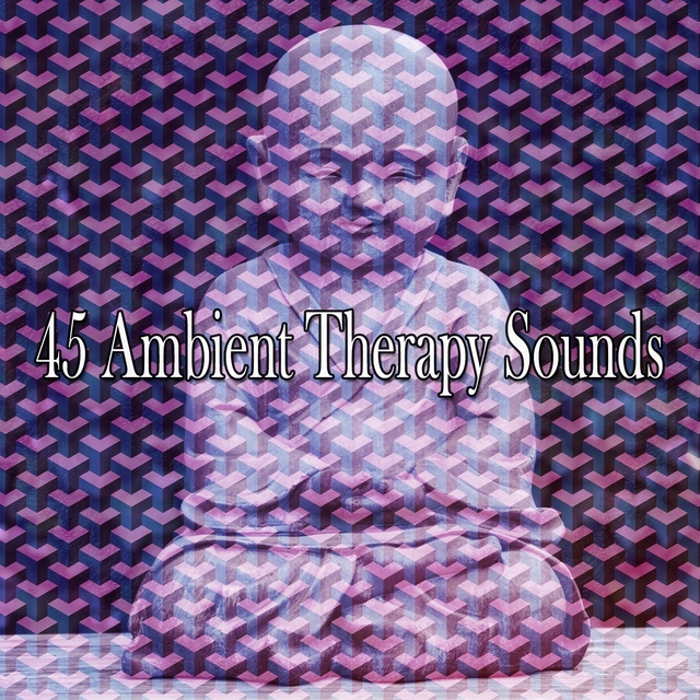 Couverture de 45 Ambient Therapy Sounds