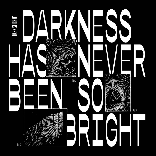 Couverture de Darkness Has Never Been so Bright