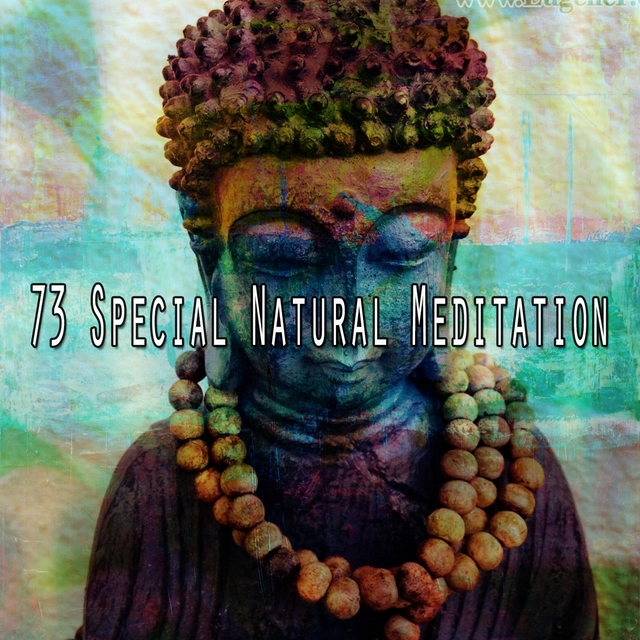 73 Special Natural Meditation