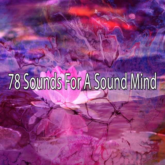 Couverture de 78 Sounds for a Sound Mind