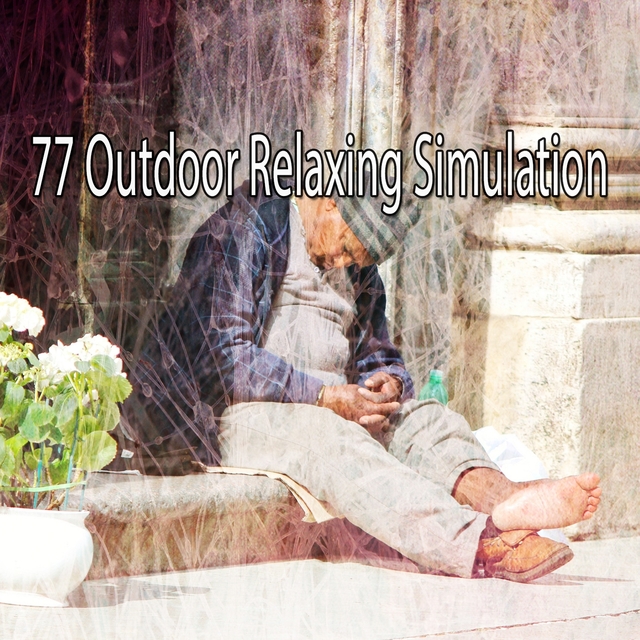 Couverture de 77 Outdoor Relaxing Simulation