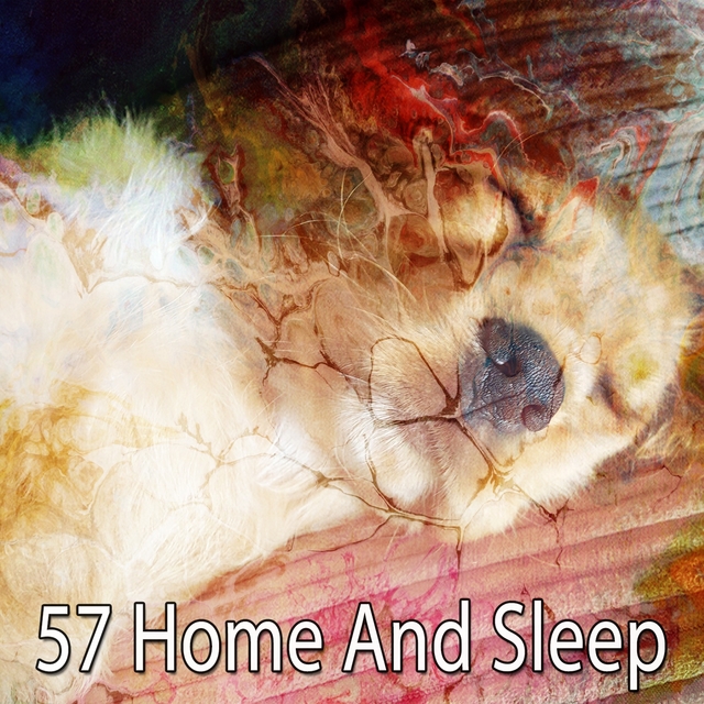 Couverture de 57 Home and Sleep