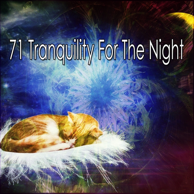 71 Tranquility for the Night