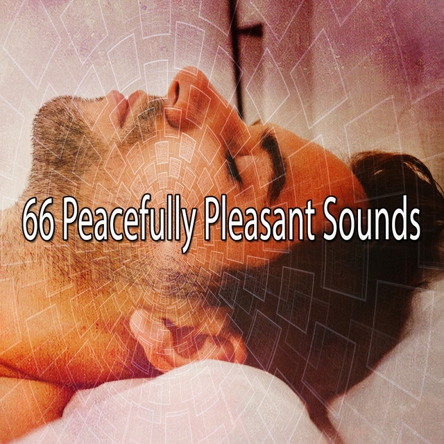 Couverture de 66 Peacefully Pleasant Sounds