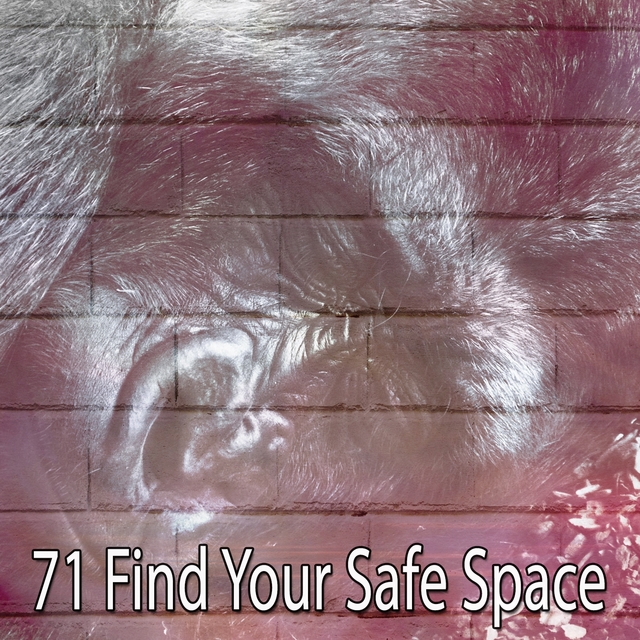 Couverture de 71 Find Your Safe Space