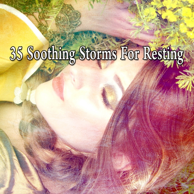 Couverture de 35 Soothing Storms for Resting