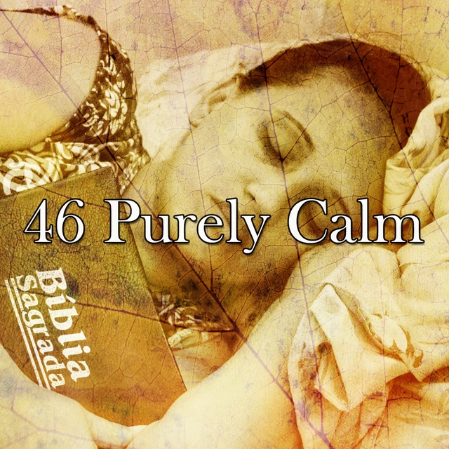 Couverture de 46 Purely Calm