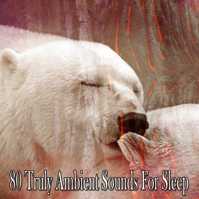 80 Truly Ambient Sounds for Sleep