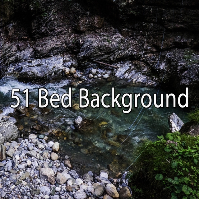 51 Bed Background