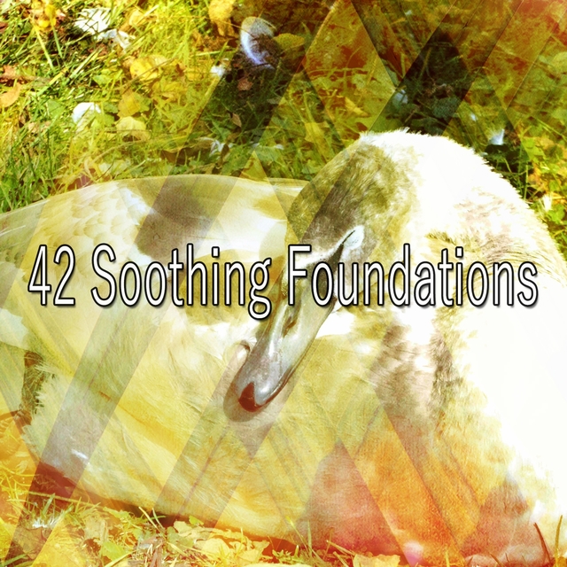 42 Soothing Foundations