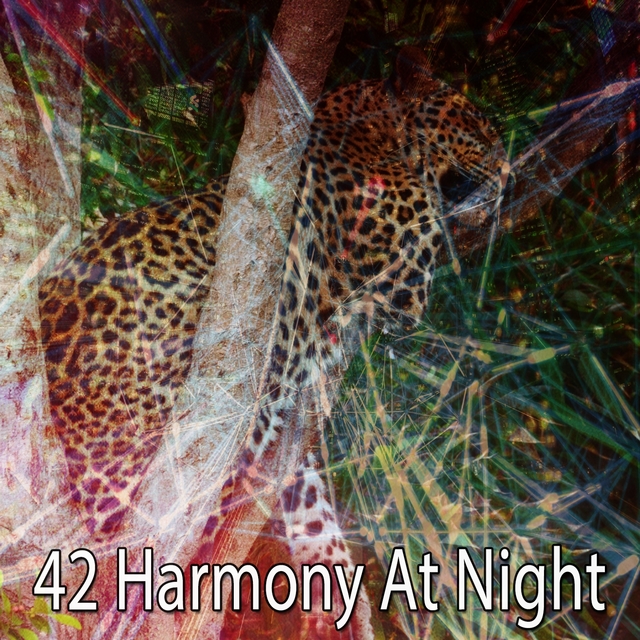 42 Harmony at Night