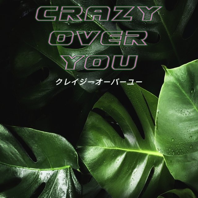 Couverture de Crazy over You