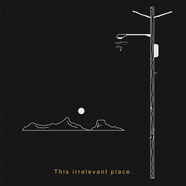 Couverture de This Irrelevant Place