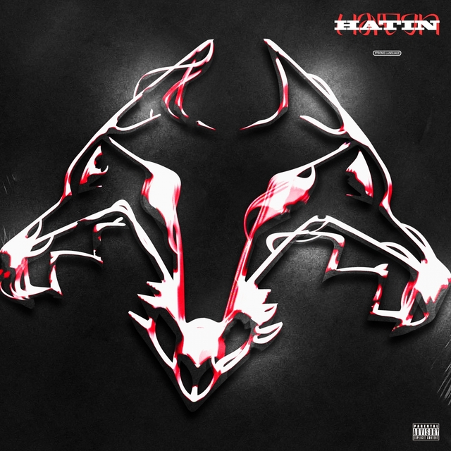 Couverture de HATIN+