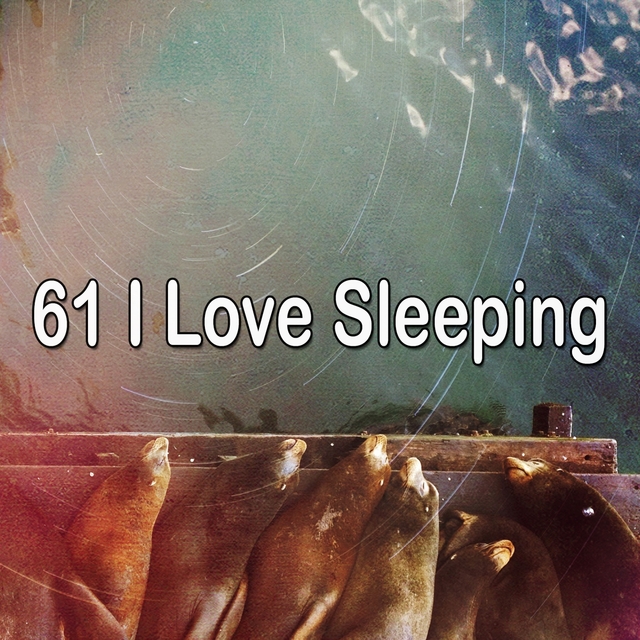 61 I Love Sleeping