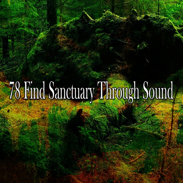 78 Find Sanctuary Through Sound