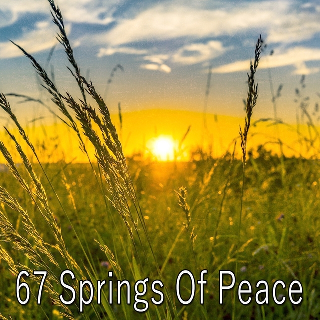 67 Springs of Peace