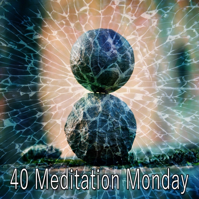 40 Meditation Monday