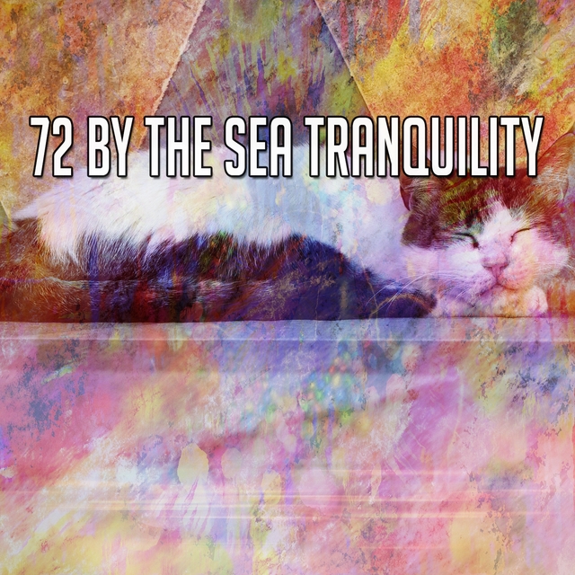 72 By the Sea Tranquility