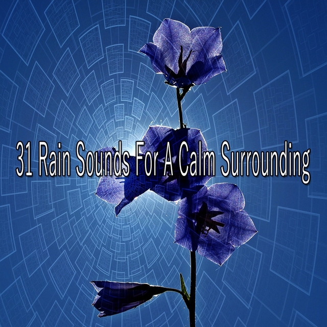 31 Rain Sounds for a Calm Surrounding