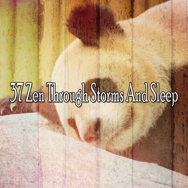 37 Zen Through Storms and Sleep