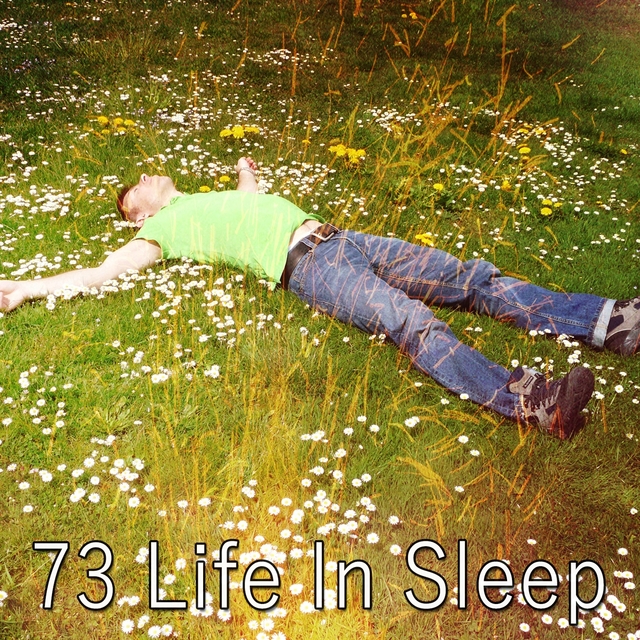 73 Life in Sleep