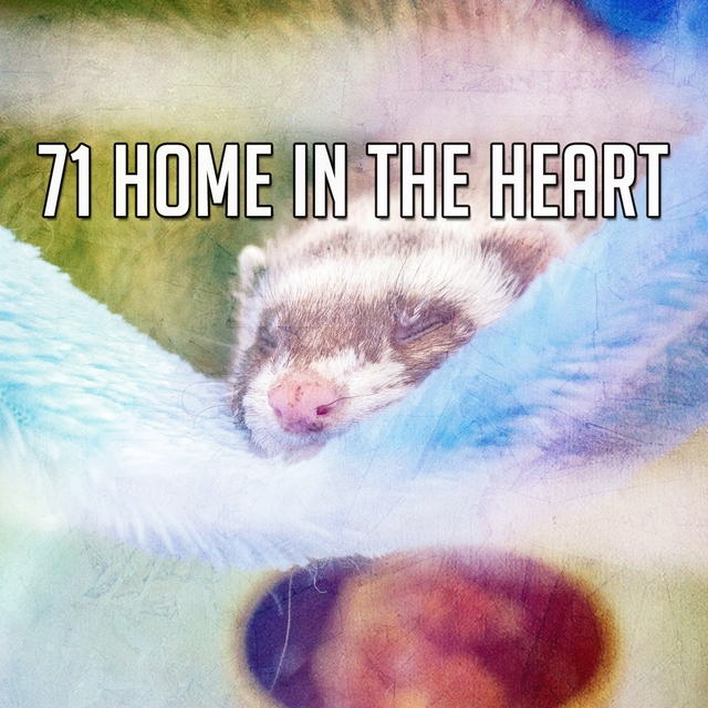 71 Home In the Heart