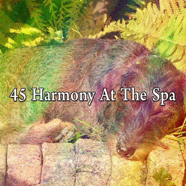 45 Harmony at the Spa