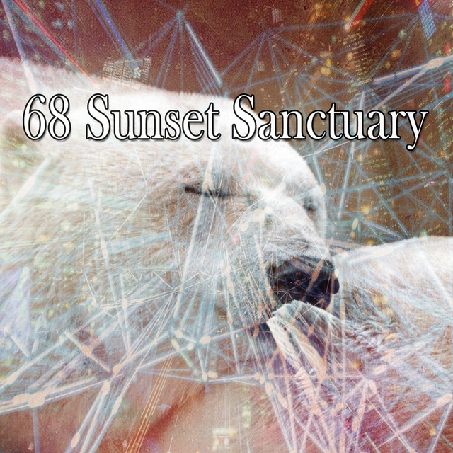 68 Sunset Sanctuary