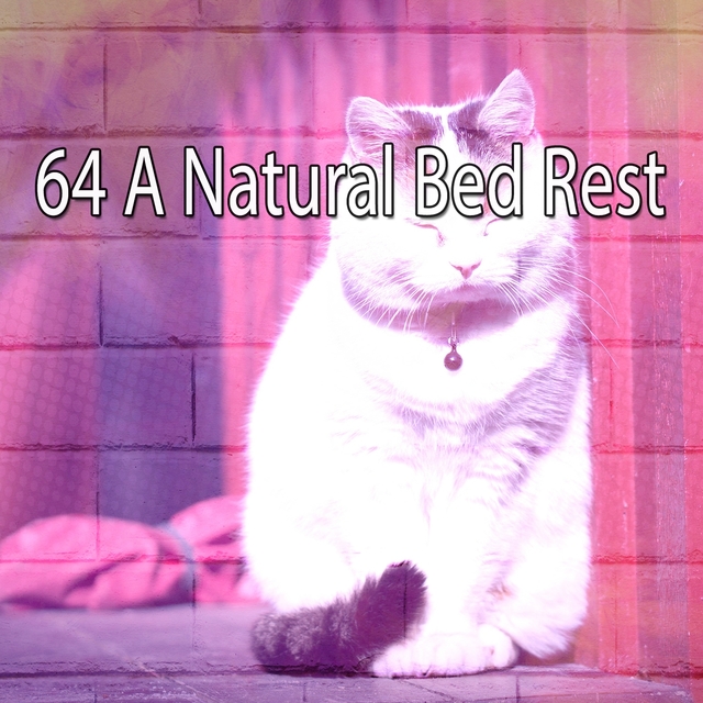 64 A Natural Bed Rest