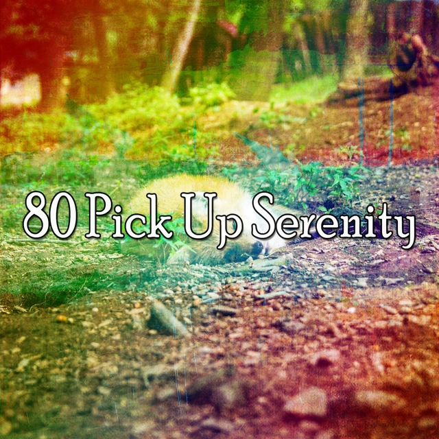 80 Pick up Serenity