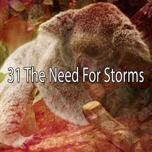 31 The Need for Storms