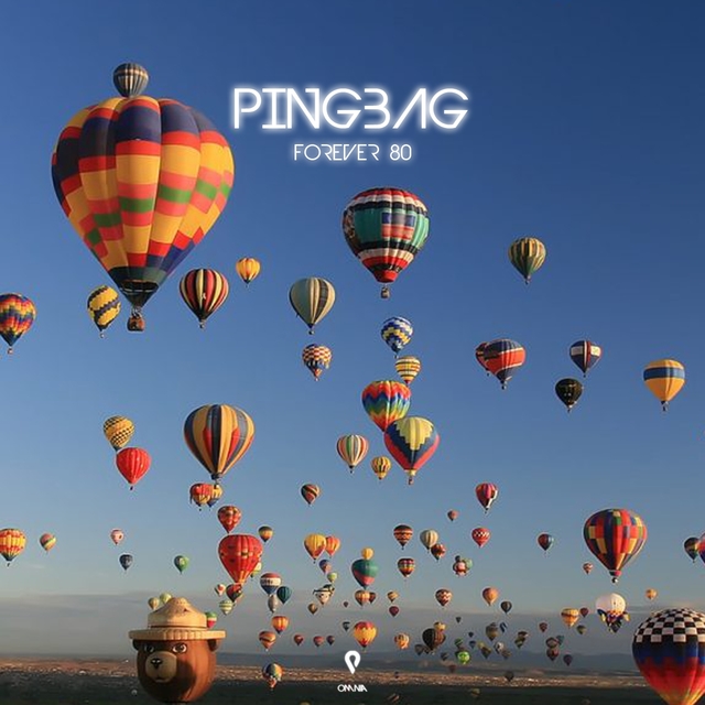 Pingbag