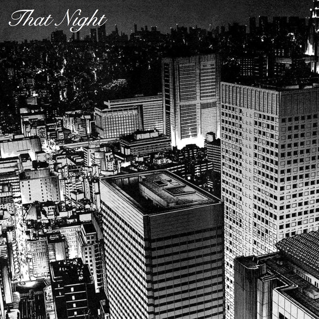 Couverture de That Night