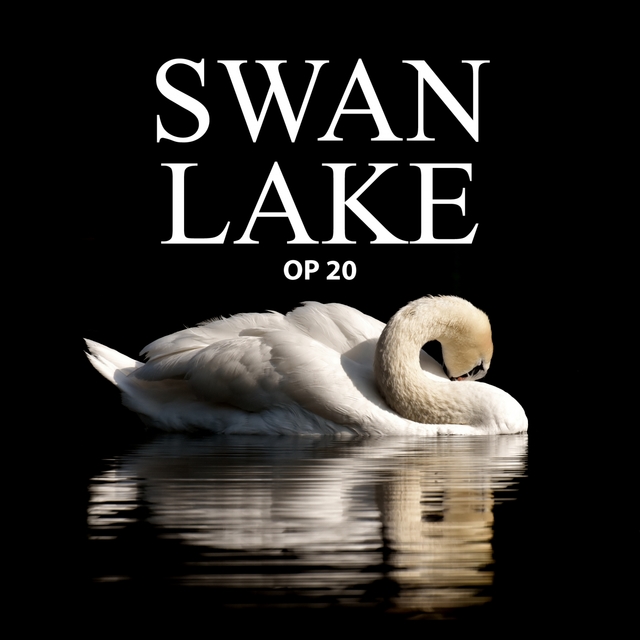 Couverture de Tchaikovsky: Swan Lake Op.20