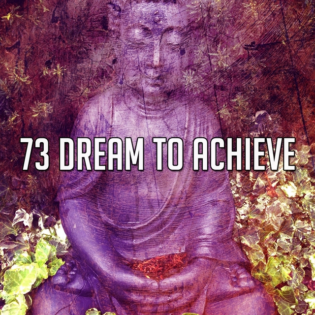 73 Dream to Achieve