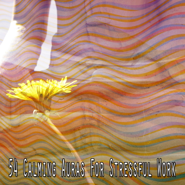 Couverture de 54 Calming Auras for Stressful Work