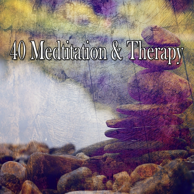 Couverture de 40 Medtitation & Therapy