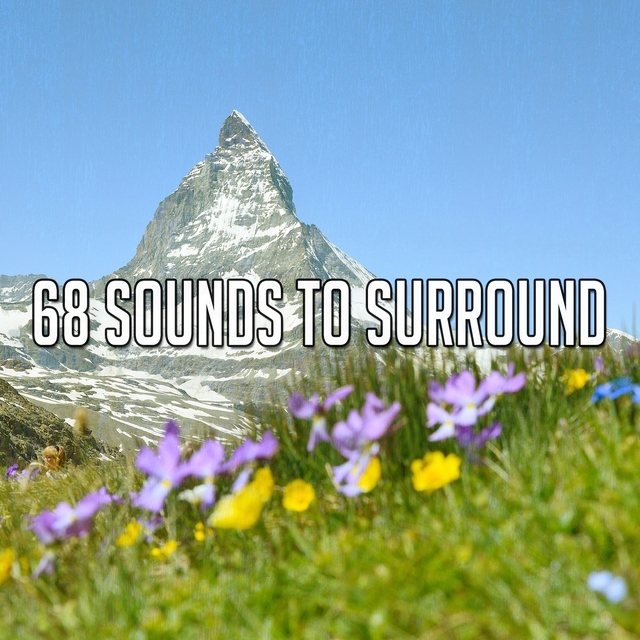 Couverture de 68 Sounds to Surround