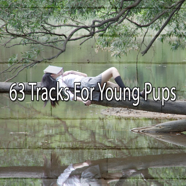 63 Tracks for Young Pups