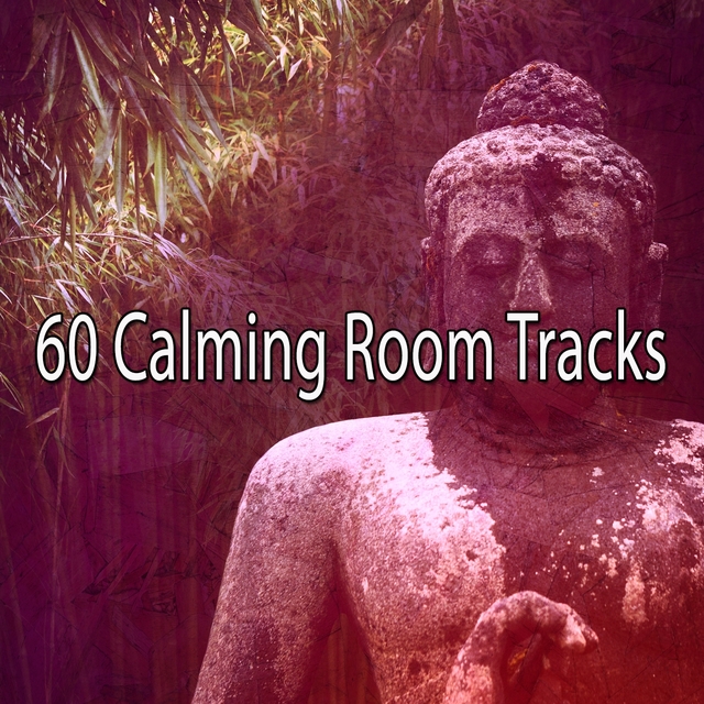 60 Calming Room Tracks