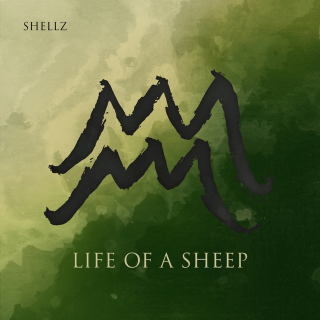 Couverture de Life of a Sheep