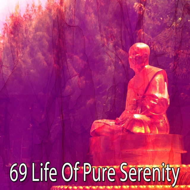 Couverture de 69 Life of Pure Serenity