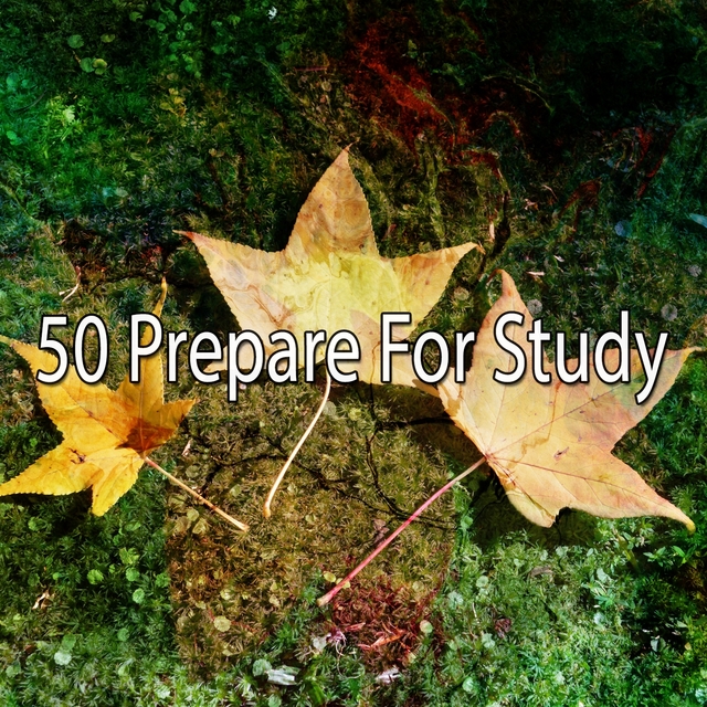 Couverture de 50 Prepare for Study