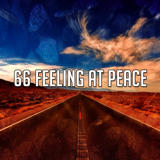 Couverture de 66 Feeling at Peace